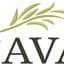 Cava Wine Bar & Wood Grille
